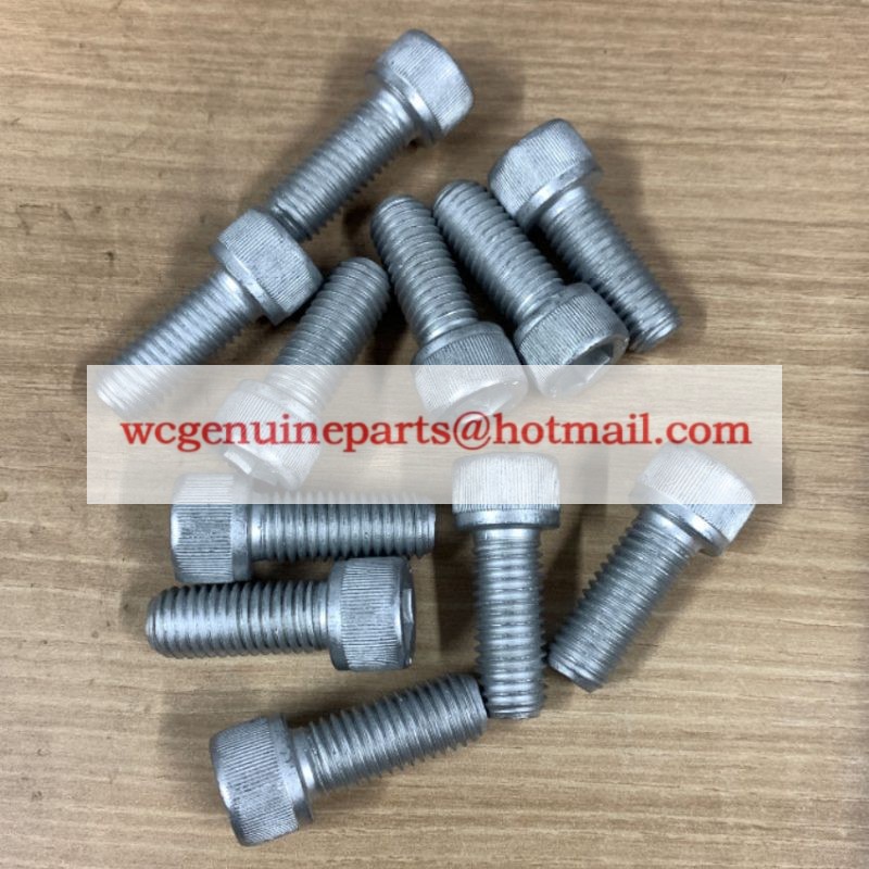 984088 SCREW BOLT